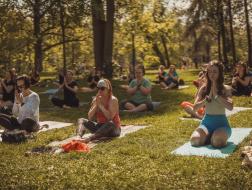 Na co se můžete těšit v květnu