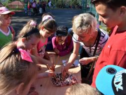 S novým kroužkem do školního roku 2016