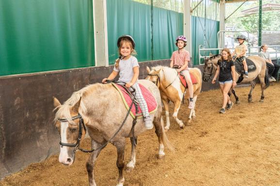Andělé Stromu života p. s. - Mobilní hospic Strom života-kontaktní a výjezdní místo Havířov